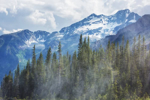 Vue Pittoresque Sur Montagne Dans Les Rocheuses Canadiennes Été — Photo