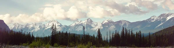 Picturesque Mountain View Canadian Rockies Summer Season — стокове фото