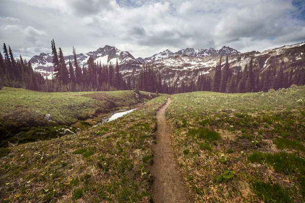 North Cascade Range, Washington / ABD 'de güzel bir dağ zirvesi.
