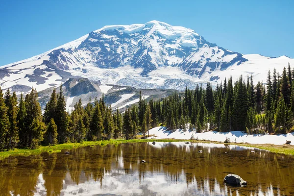 Parque Nacional Monte Rainier Washington —  Fotos de Stock