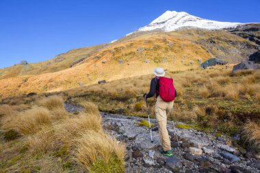 Taranaki Dağı / Egmont Dağı Egmont Ulusal Parkı, Kuzey Adası, Yeni Zelanda. Güzel doğal manzaralar.