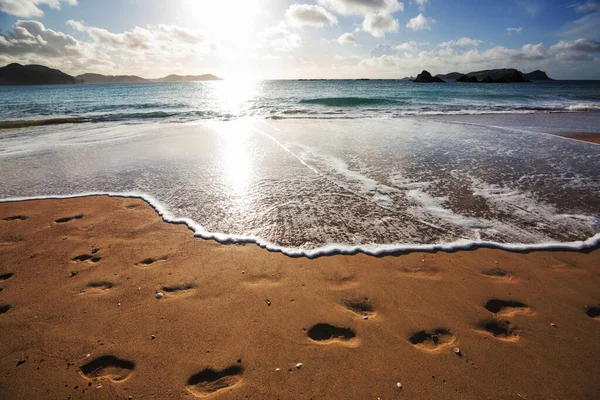 Une Vague Bleue Sur Plage Fond Flou Taches Lumière Soleil — Photo