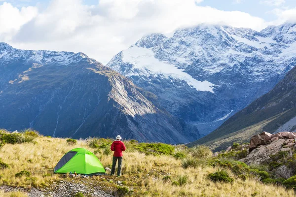 Vandrare Vackra Berg Nära Mount Cook Nya Zeeland Sydön — Stockfoto