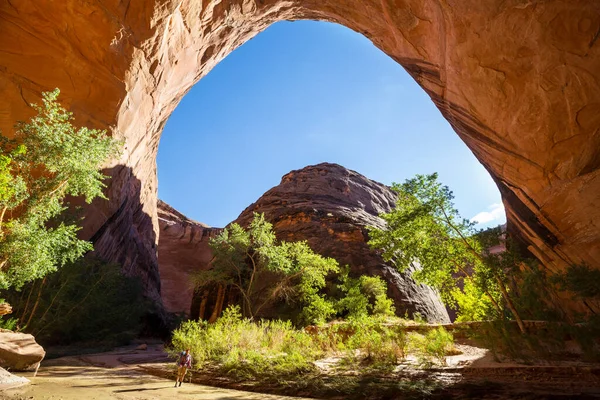 美国犹他州Grand Staircase Escalante国家纪念碑Coyote Gulch的Jacob Hamblin Arch — 图库照片