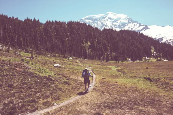 Backpacker Summer Mountains — Stock Photo, Image