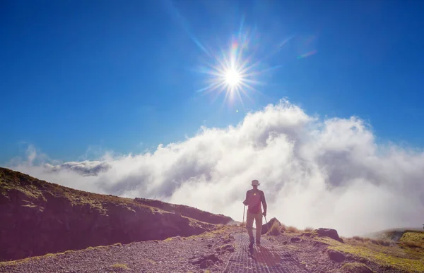 Monte Taranaki Monte Egmont Nel Parco Nazionale Egmont Isola Del — Foto Stock