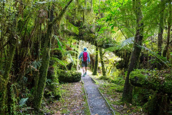 Wandern Und Trampeln Neuseeland Reise Und Abenteuerkonzept — Stockfoto