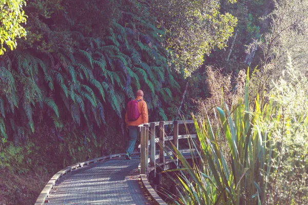 Caminhadas Tramping Nova Zelândia Conceito Viagem Aventura — Fotografia de Stock