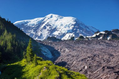 Mount Rainier Ulusal Parkı, Washington