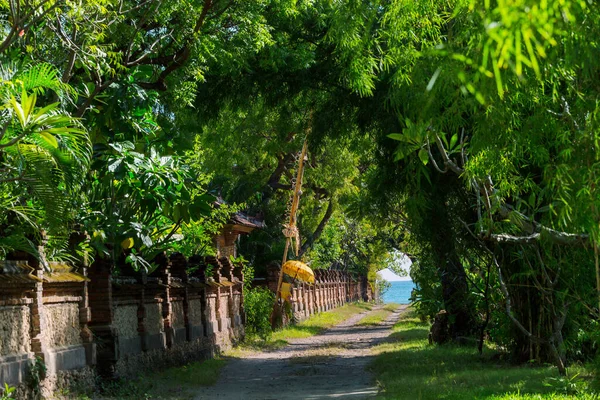 Callejón Árboles Isla Tropical Bali — Foto de Stock