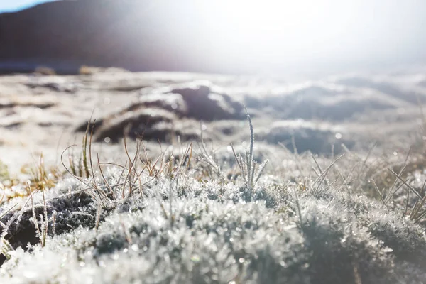 Pradera Congelada Finales Otoño Cerca Fondo Invierno —  Fotos de Stock