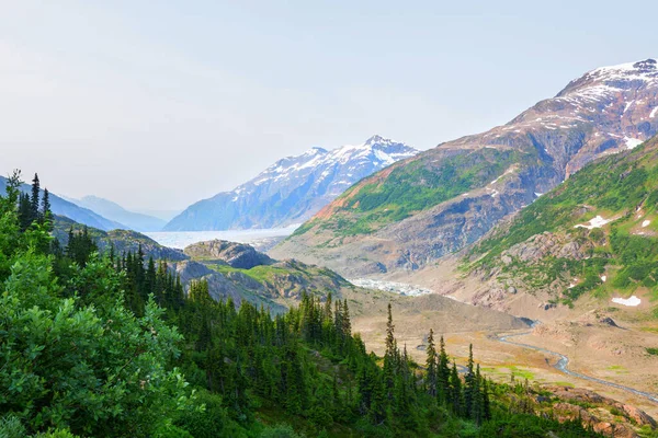 夏季加拿大落基山脉的风景如画的山景 — 图库照片