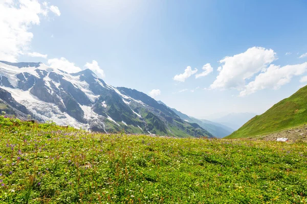 Bergwiese Sonnigem Tag Natürliche Sommerlandschaft — Stockfoto