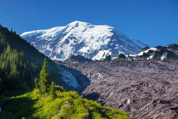 Mount Rainier Nemzeti Park Washington — Stock Fotó