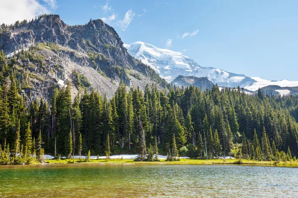 Parque Nacional Mount Rainier Washington — Fotografia de Stock