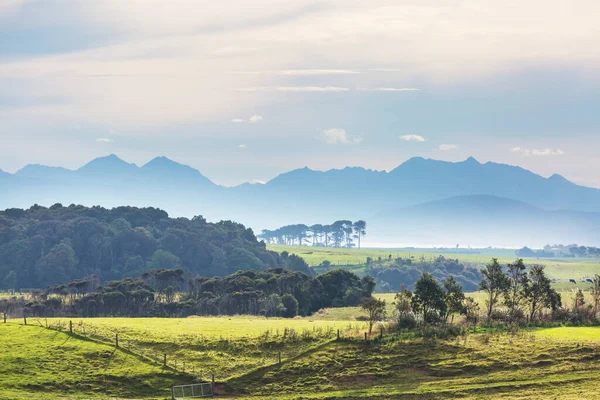 Bela Paisagem Rural Nova Zelândia Nascer Sol — Fotografia de Stock