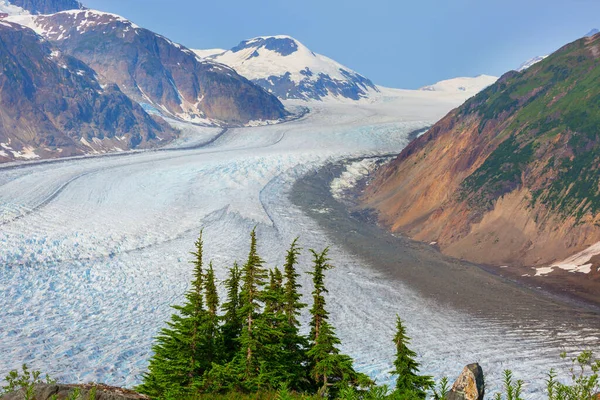 Zalmgletsjer Stewart Canada — Stockfoto