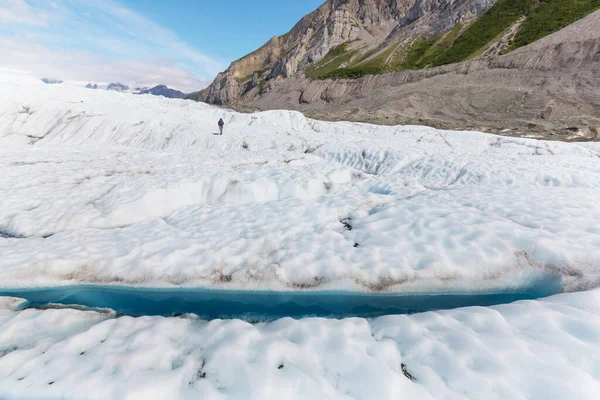 Wandelen Alaska Zomer — Stockfoto