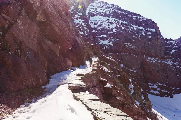 Randonnée Dans Parc National Des Glaciers Montana — Photo