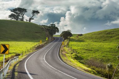 Yeni Zelanda 'daki yeşil tepeler arasında Manzaralı Yol.