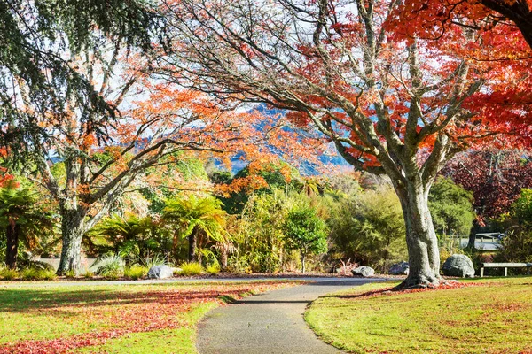 Belas Árvores Coloridas Lagoa Parque Outono Nova Zelândia — Fotografia de Stock