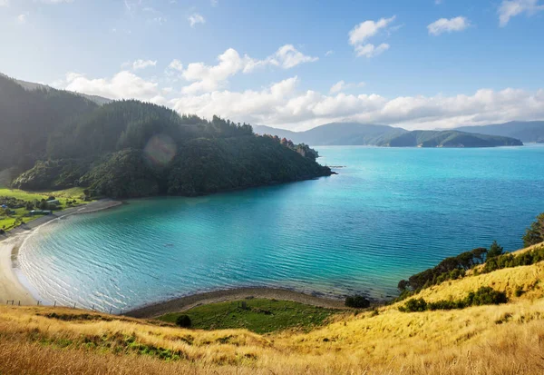 Nádherná Krajina Ocean Beach Nový Zéland Inspirující Přírodní Cestovní Pozadí — Stock fotografie