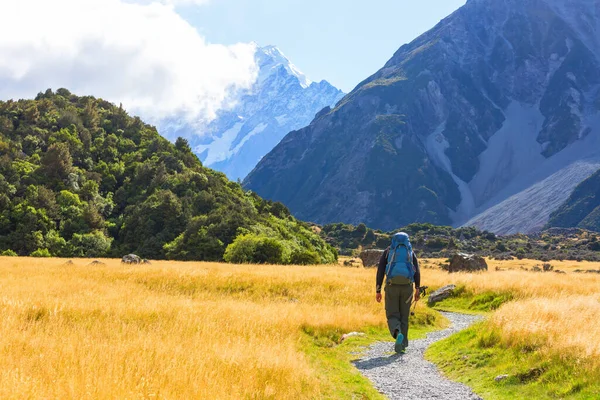 Randonneur Dans Belles Montagnes Près Mont Cook Nouvelle Zélande Île — Photo