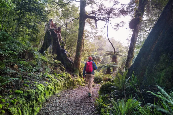 Подорожі Трамваї Новій Зеландії Подорожі Пригоди — стокове фото