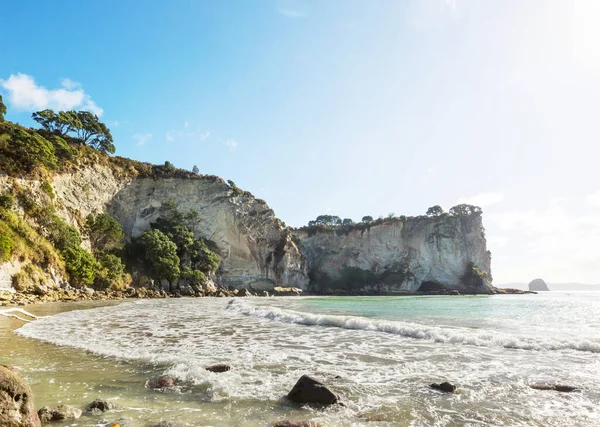 Paesaggi Bellissimi Questo Spiaggia Oceano Nuova Zelanda Ispirare Sfondo Naturale — Foto Stock