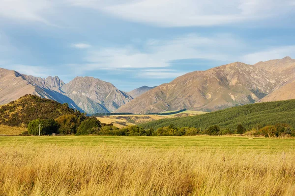 Bellissimo Paesaggio Rurale Della Nuova Zelanda All Alba — Foto Stock