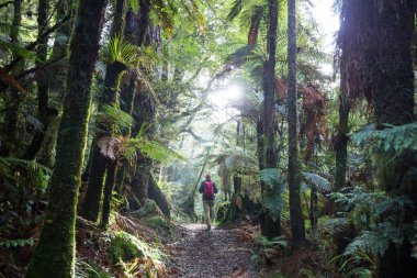 Yeni Zelanda 'da yürüyüş ve ayaktakımı. Seyahat ve macera konsepti