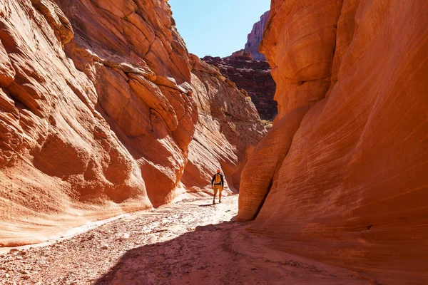 Slot Canyon Grand Staircase Escalante National Park Utah Usa Unusual — Stock Photo, Image