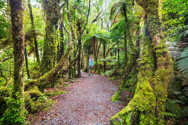 Wandelen Kamperen Nieuw Zeeland Reis Avontuurconcept — Stockfoto