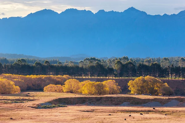 Temporada Outono Nas Montanhas Nova Zelândia — Fotografia de Stock