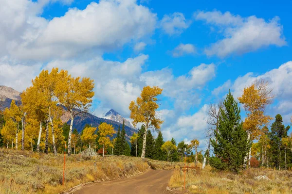 森の中の田舎道のカラフルな秋のシーン — ストック写真