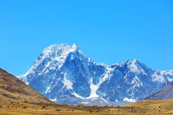 Bellissimi Paesaggi Montani Cordillera Blanca Perù Sud America — Foto Stock