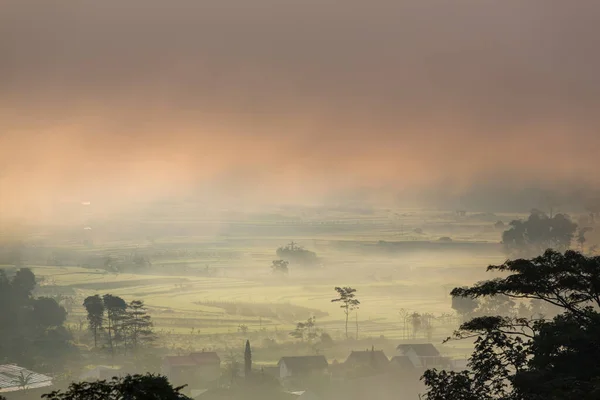 Деревенский Пейзаж Туманные Зеленые Поля Утром — стоковое фото