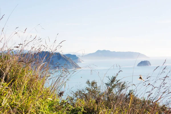 Beautiful Landscapes Ocean Beach New Zealand Inspiring Natural Travel Background — Stock Photo, Image