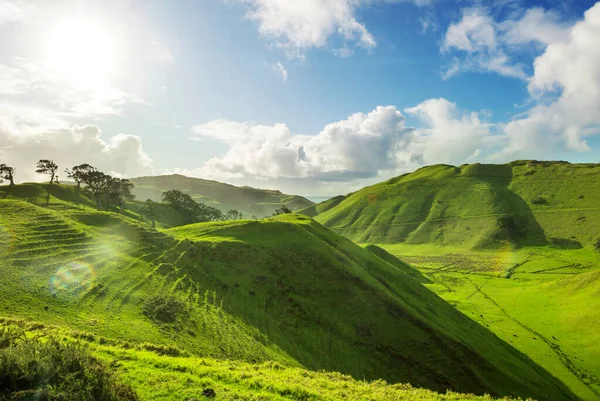 Bellissimo Paesaggio Rurale Della Nuova Zelanda All Alba — Foto Stock