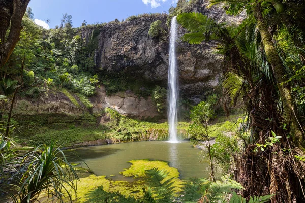 Bela Cachoeira Floresta Tropical Verde Nova Zelândia — Fotografia de Stock