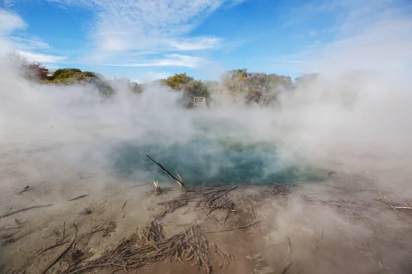 Promenade Dans Zone Thermale Rotorua Île Nord Nouvelle Zélande — Photo