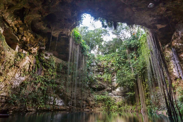 Neobvyklé Přírodní Scenérie Kil Cenote Mexiko — Stock fotografie