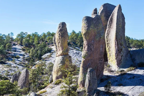 メキシコの梅雨時のジャングルと山 — ストック写真