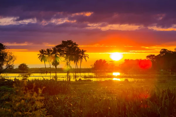 Fantástico Atardecer Tropical Paisaje Rural México — Foto de Stock