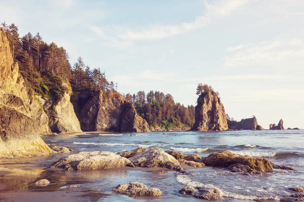 Ocean beach in Vancouver island, British Columbia, Canada — Stock Image Ocean Beach Vancouver Island British Columbia Canada Stock Photo