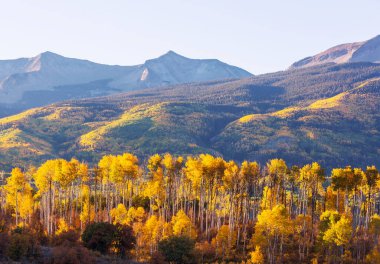 Colorado, ABD 'de renkli bir sonbahar. Sonbahar sezonu.