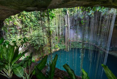 Alışılmadık doğal tropikal manzaralar - Ik-Kil Cenote, Meksika