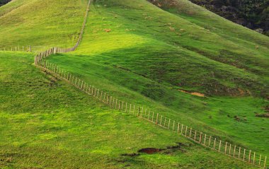 Gündoğumunda Yeni Zelanda 'nın güzel kırsal manzarası