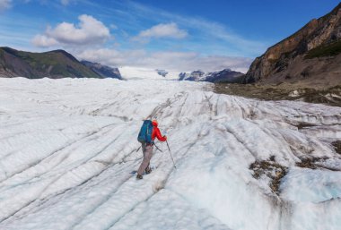 Yaz zamanı Alaska 'da yürüyüş