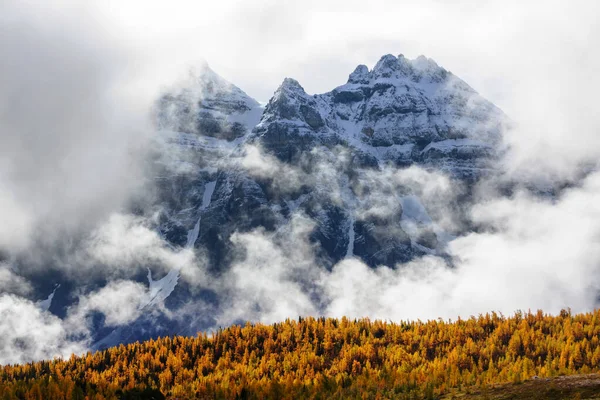Prachtig Herfstseizoen Canadese Bergen Achtergrondinformatie — Stockfoto